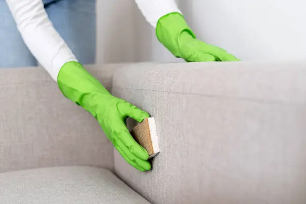 Professional Upholstery Cleaning Service in Manchester-by-the-Sea and Near Me
