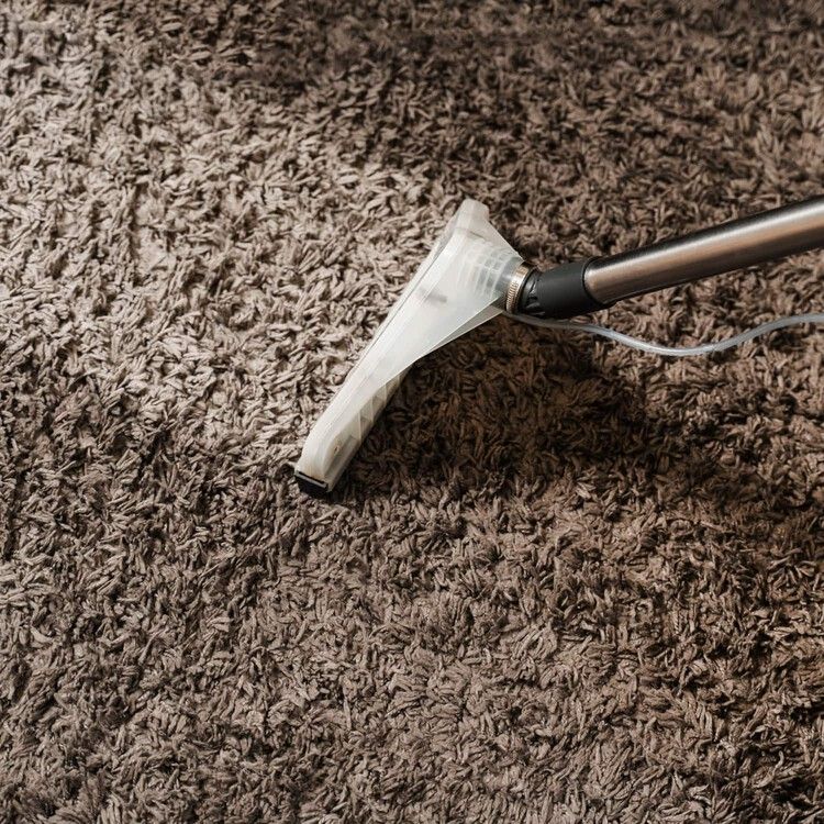 Contact Yelle Carpet Cleaning in Manchester-by-the-Sea