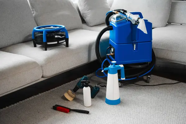 Pet Stain and Odor Removal in Manchester-by-the-Sea