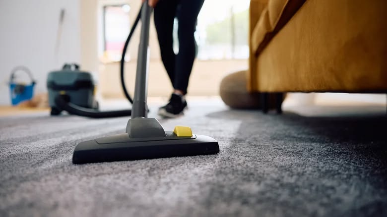 Upholstery Cleaning Service in Manchester-by-the-Sea